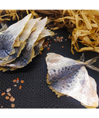 Dried Butterfly fish 100g (3.5oz)